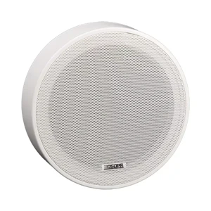 PARLANTE DE TECHO DE MONTAJE 6,5"  2,5W